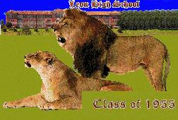 Click to visit Leon55.com